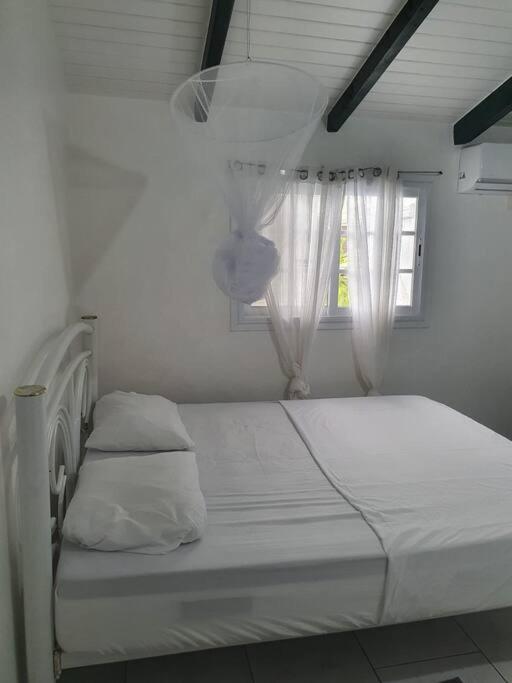 Le Sable Bleu - Evasion Tropicale A Sainte-Anne - Plage 5Min - Piscine - Parking - Logement Climatise - Vue Sur Les Palmiers - Parfait Pour Sejours En Famille Ou Entre Amis 外观 照片