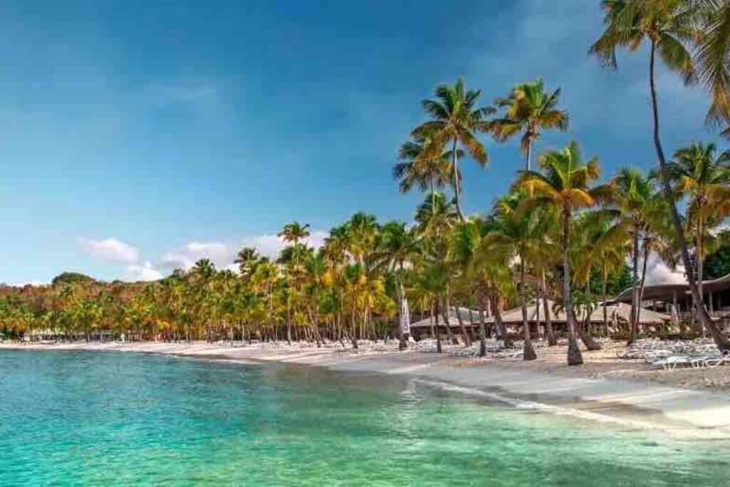 Le Sable Bleu - Evasion Tropicale A Sainte-Anne - Plage 5Min - Piscine - Parking - Logement Climatise - Vue Sur Les Palmiers - Parfait Pour Sejours En Famille Ou Entre Amis 外观 照片