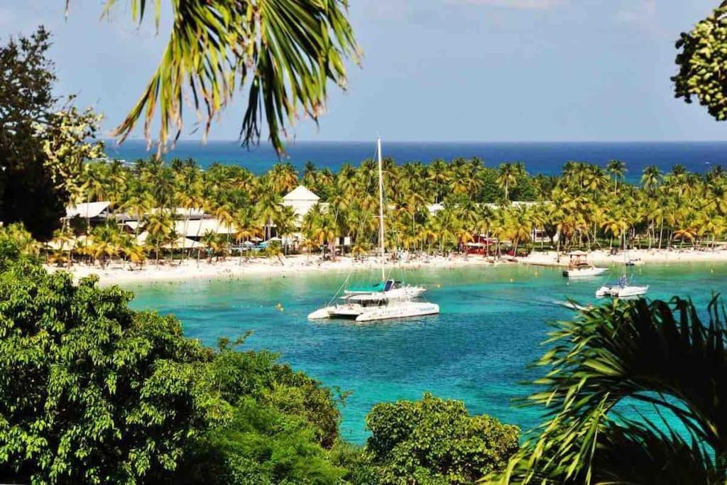 Le Sable Bleu - Evasion Tropicale A Sainte-Anne - Plage 5Min - Piscine - Parking - Logement Climatise - Vue Sur Les Palmiers - Parfait Pour Sejours En Famille Ou Entre Amis 外观 照片