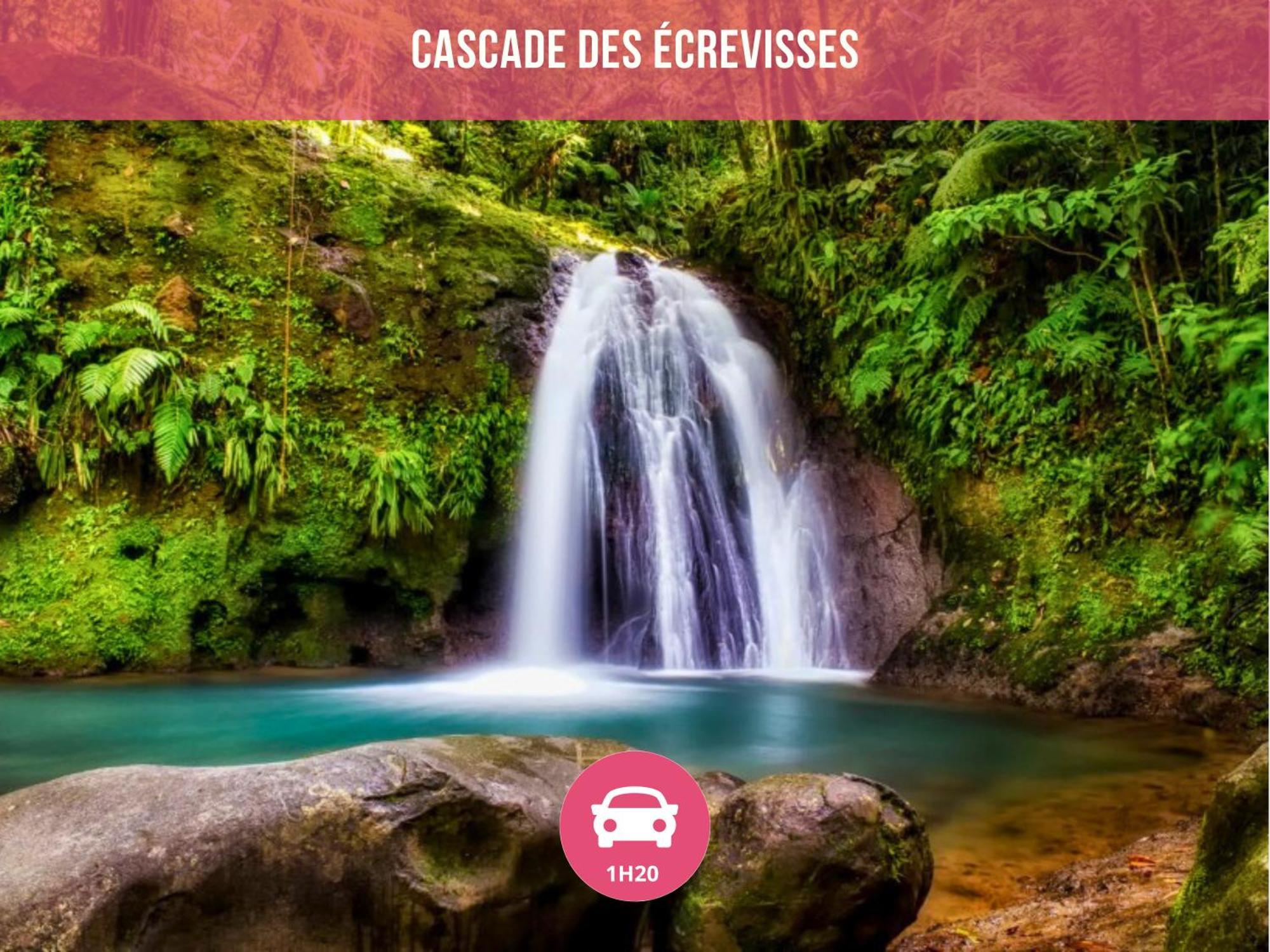 Le Sable Bleu - Evasion Tropicale A Sainte-Anne - Plage 5Min - Piscine - Parking - Logement Climatise - Vue Sur Les Palmiers - Parfait Pour Sejours En Famille Ou Entre Amis 外观 照片