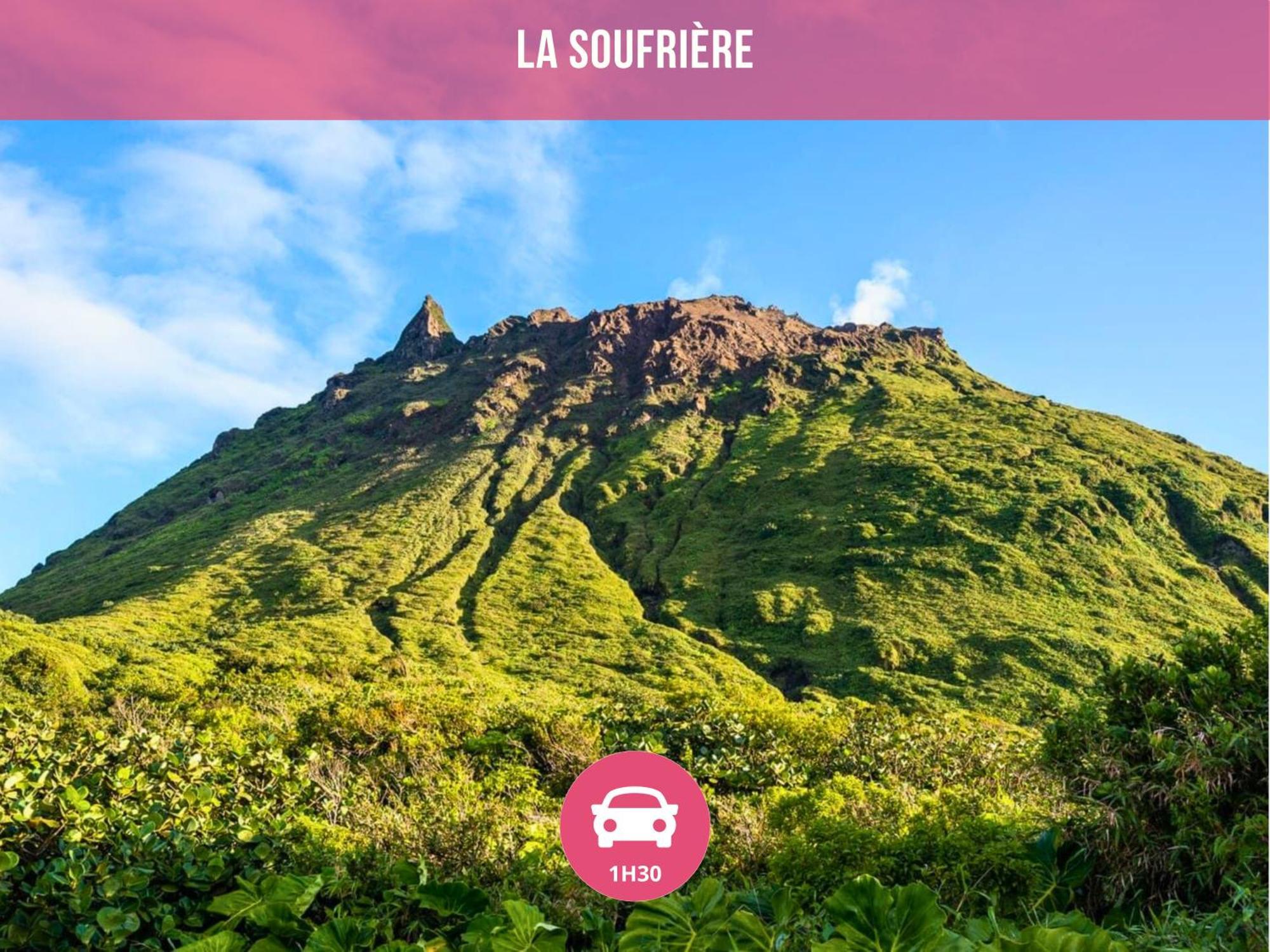 Le Sable Bleu - Evasion Tropicale A Sainte-Anne - Plage 5Min - Piscine - Parking - Logement Climatise - Vue Sur Les Palmiers - Parfait Pour Sejours En Famille Ou Entre Amis 外观 照片